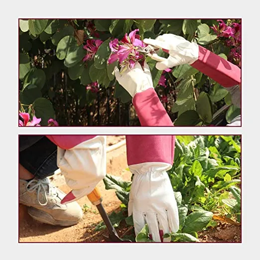 Handlandy Long Cuff Gardening Gloves, Rose Pruning Thorn-proof Gloves 1601 (12 Pairs)