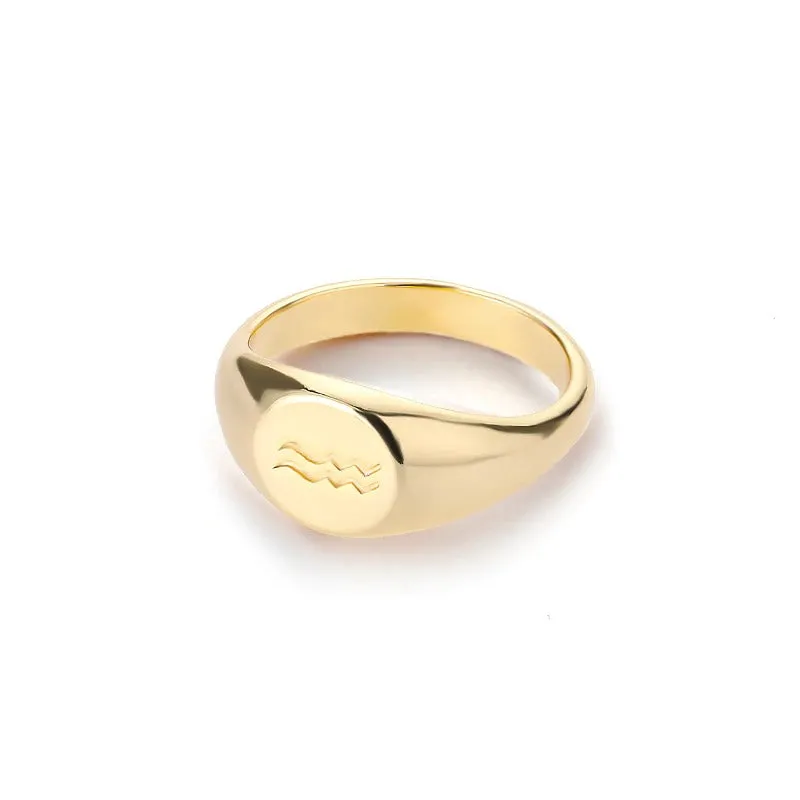 Minimalist 12 Constellation Zodiac Sign Rings