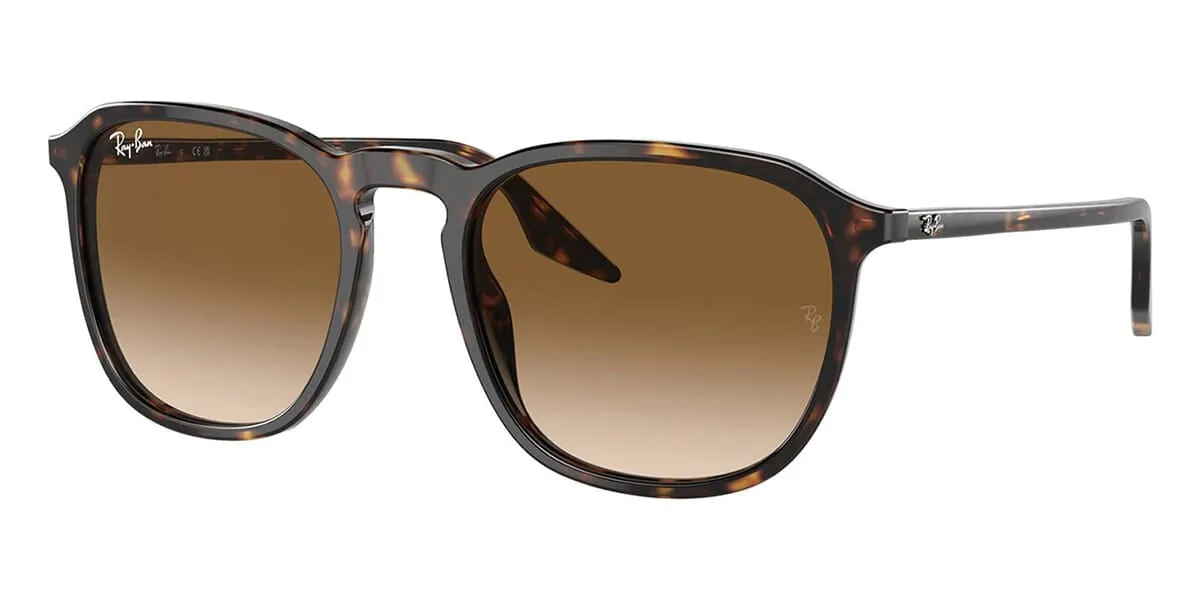 Ray-Ban RB 2203 902/51